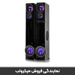 اسپیکر میکرولب مدل پالادیو 8.4 (مشکی طلایی)